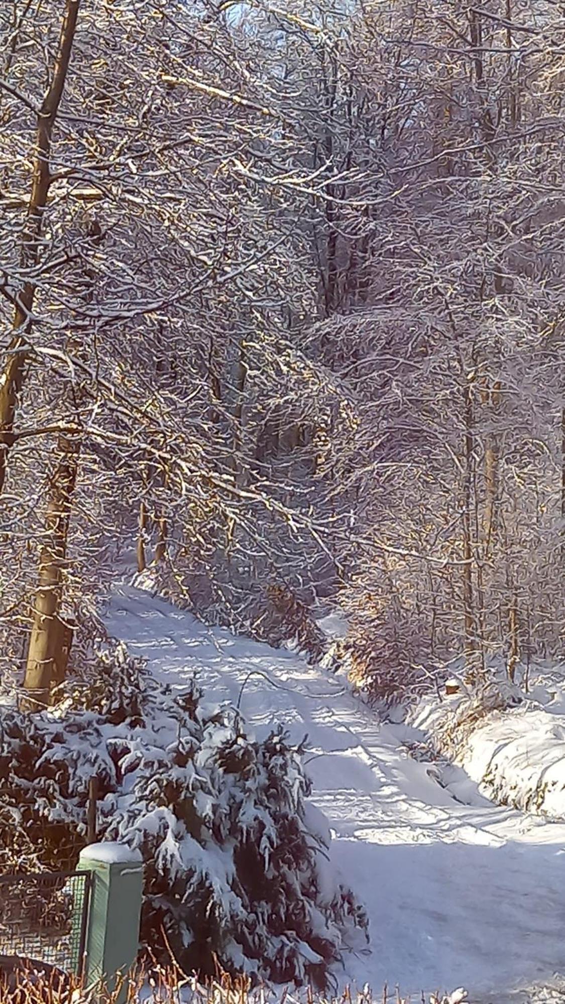 Haus Am Wald Διαμέρισμα Hillscheid Εξωτερικό φωτογραφία