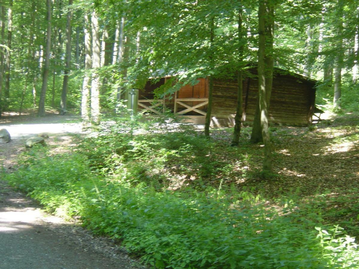 Haus Am Wald Διαμέρισμα Hillscheid Εξωτερικό φωτογραφία